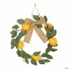 Flash Sale 🛒 Dried Fruit Wreath Craft Kit - Makes 1 😀