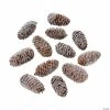 Best Pirce 👏 Frosted Pine Cone Assortment - 12 Pc. 🔥
