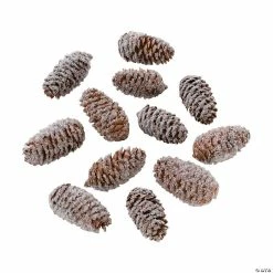 Best Pirce 👏 Frosted Pine Cone Assortment - 12 Pc. 🔥