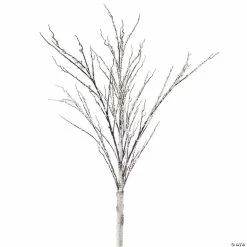 Buy 🛒 Melrose International Icy Birch Branch, 4 Feet (Set of 4) ⌛