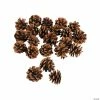 Buy 👍 Mini Natural Pinecones - 24 Pc. 🤩