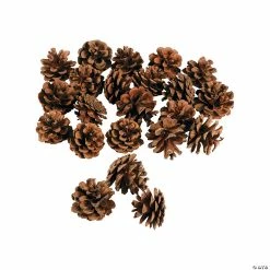 Buy 👍 Mini Natural Pinecones - 24 Pc. 🤩