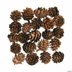Cheap 💯 Mini Pinecones - 24 Pc. ⌛
