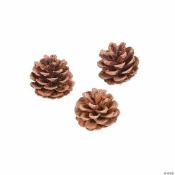 Discount ๐ Natural Pinecones - 12 Pc. ๐